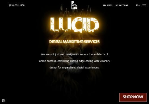 Lucid Digital Marketing Services capture - 2024-01-10 05:40:11