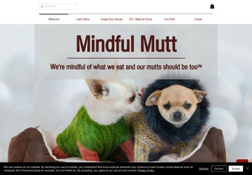 Mindful Mutt capture - 2024-01-10 13:29:09