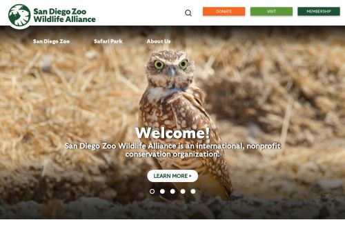 San Diego Zoo Wildlife Alliance capture - 2024-01-11 00:58:09