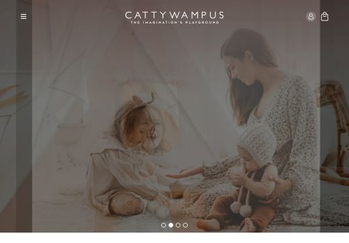 Catty Wampus capture - 2024-01-14 11:41:54