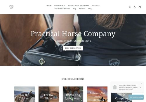 Practical Horse Company capture - 2024-01-15 00:42:18