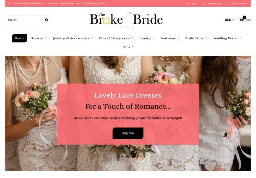 Broke Bride Dresses capture - 2024-01-15 15:26:43