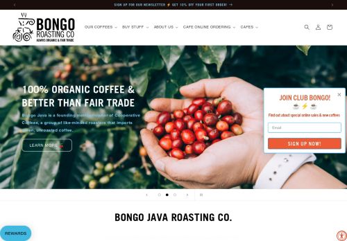 Bongo Java capture - 2024-01-15 19:46:22