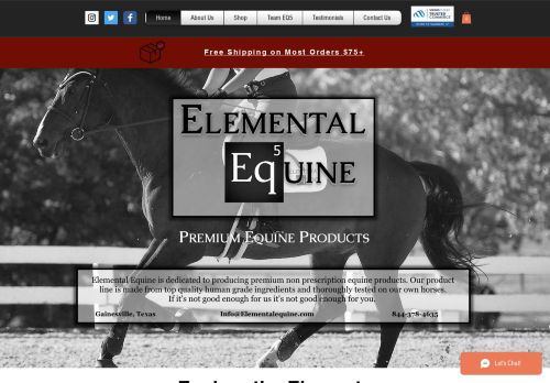 Elemental Equine capture - 2024-01-15 19:59:05