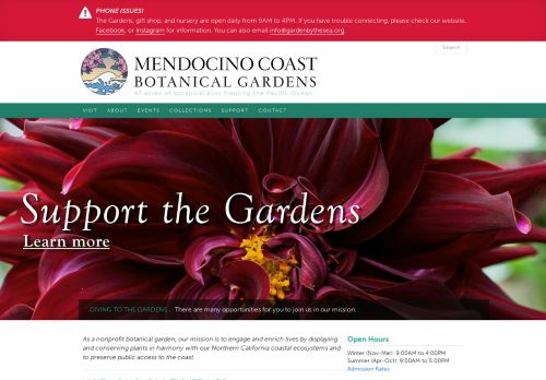 Mendocino Coast Botanical Gardens capture - 2024-01-16 07:31:44