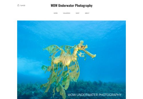Wow Underwater Photography capture - 2024-01-16 08:27:53