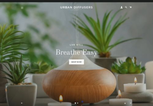 Urban Diffusers capture - 2024-01-17 20:00:54