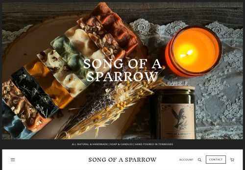 Song of a Sparrow capture - 2024-01-17 20:22:14