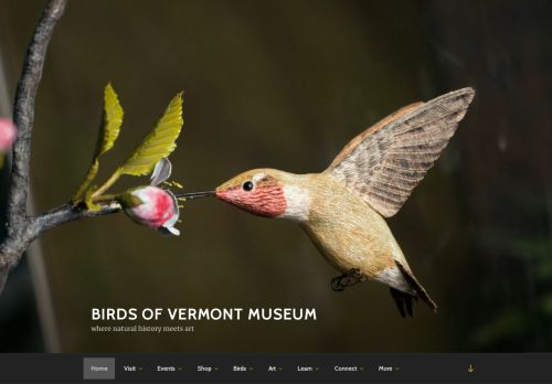 Birds of Vermont Museum capture - 2024-01-17 23:17:50