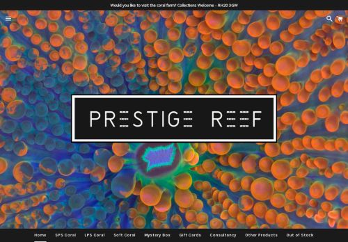 Prestige Reef capture - 2024-01-17 23:20:59