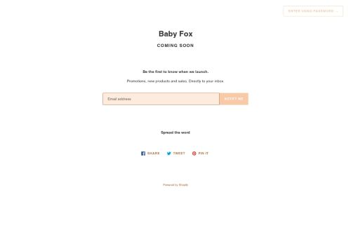 Baby Fox Baby Boutique capture - 2024-01-18 21:33:48
