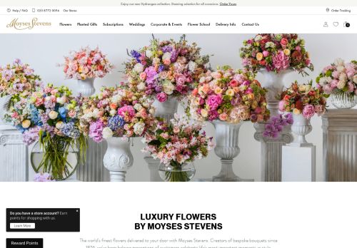 Moyses Stevens Flowers Limited capture - 2024-01-19 02:04:41