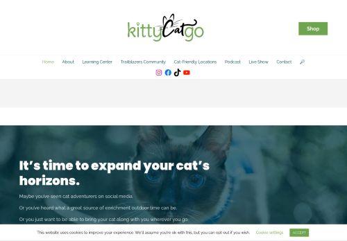 Kitty Cat Go capture - 2024-01-19 23:34:09