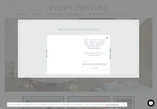 Poppy Posters capture - 2024-01-20 06:09:28
