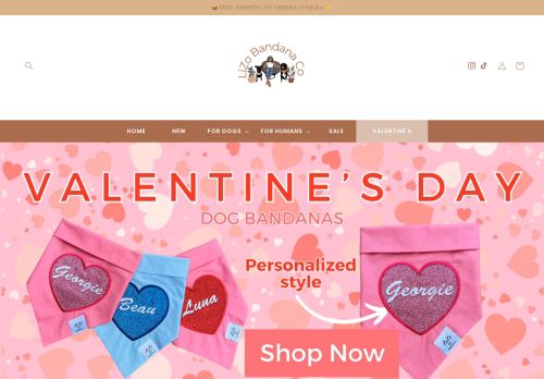 Lizo Bandana Co capture - 2024-01-20 06:35:44