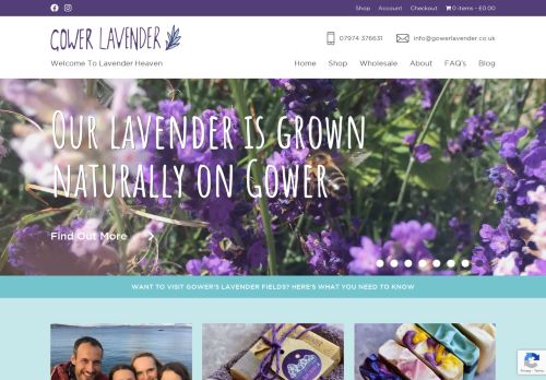 Gower Lavender capture - 2024-01-21 03:59:45