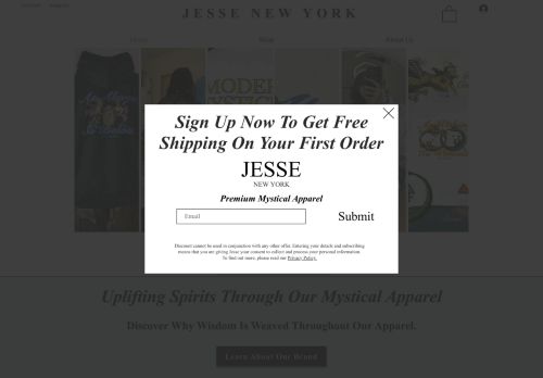 Jesse New York capture - 2024-01-23 13:12:32