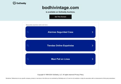 Bodhi Vintage capture - 2024-01-25 13:51:03