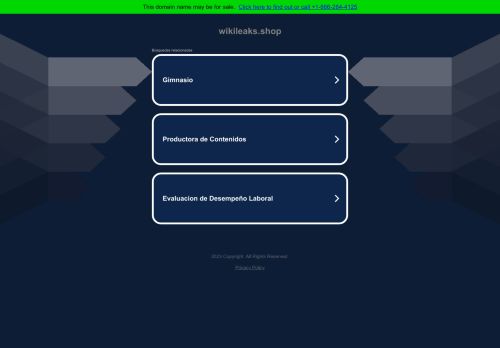 WikiLeaks Shop capture - 2024-01-26 20:28:02