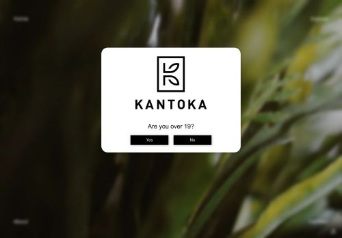Kantoka capture - 2024-01-27 13:39:50