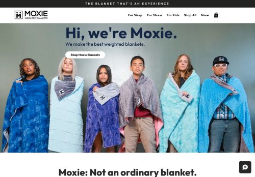 Moxie Blankets capture - 2024-01-28 00:05:42