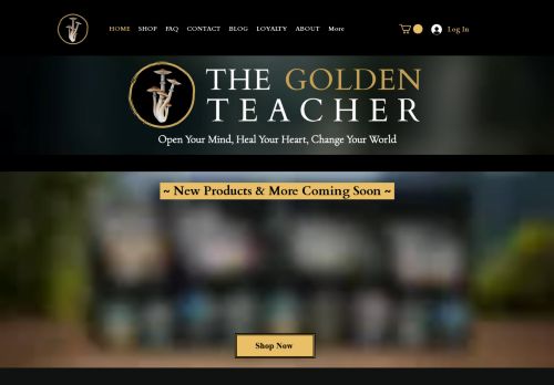 The Golden Teacher capture - 2024-01-29 17:53:36