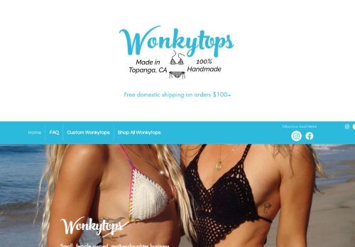 Wonkytops capture - 2024-01-29 23:30:14