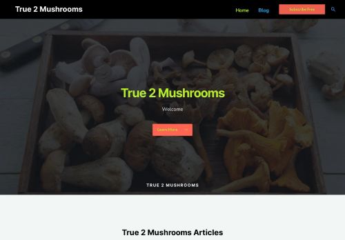 True 2 Mushrooms capture - 2024-01-30 00:28:46
