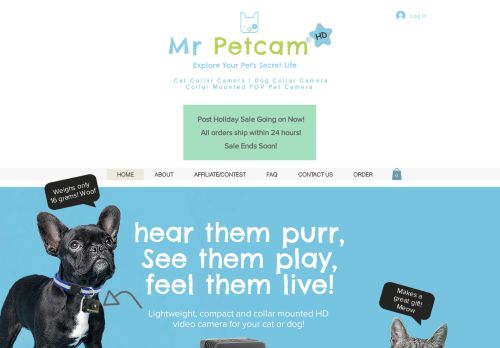 Mr Petcam capture - 2024-01-31 13:36:51
