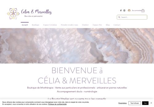 Celia Et Merveilles capture - 2024-01-31 16:45:58