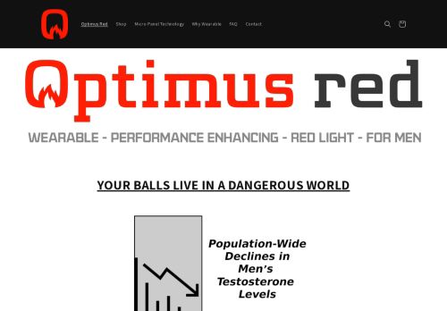 Optimus Red capture - 2024-02-01 21:24:32