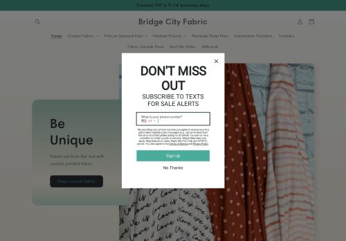 Bridge City Fabric capture - 2024-02-02 00:25:19