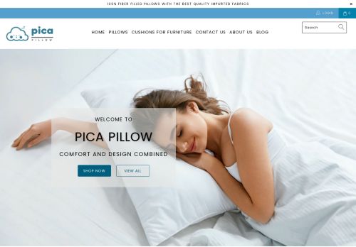 Pica Pillow capture - 2024-02-02 01:48:05