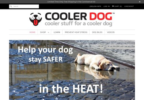 Cooler Dog capture - 2024-02-02 16:13:20