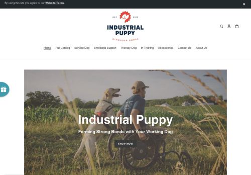 Industrial Puppy capture - 2024-02-03 17:44:28