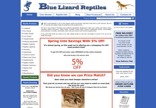 Blue Lizard Reptiles capture - 2024-02-05 18:00:26