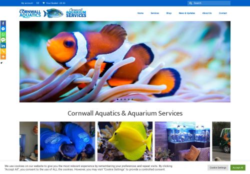 Cornwall Aquatics And Aquarium Services capture - 2024-02-05 22:18:34