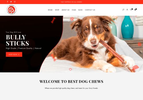 Best Dog Chews capture - 2024-02-06 11:09:36