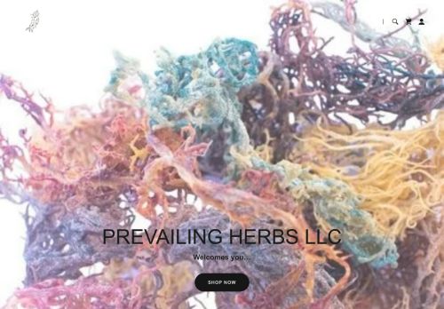 Prevailing Herbs capture - 2024-02-06 22:32:32