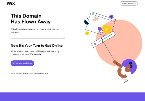 Optimal Organizers capture - 2024-02-06 22:52:52