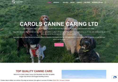 Doggy Day Services in Bursledon capture - 2024-02-07 17:07:04