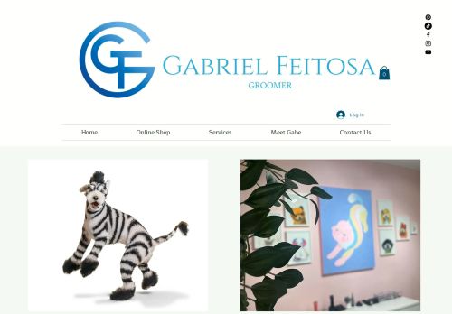 Gabriel Feitosa Groomer capture - 2024-02-08 05:22:25