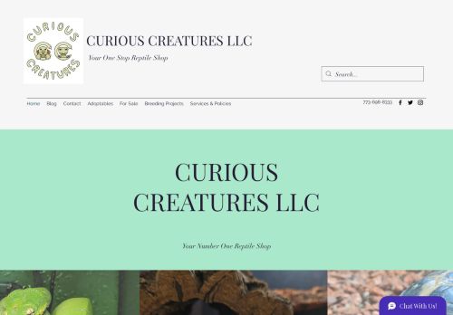 Curious Creatures capture - 2024-02-08 07:51:16