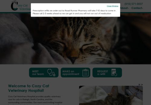 Cozy Cat capture - 2024-02-08 16:41:02