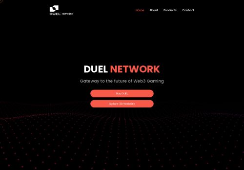 Duel Network capture - 2024-02-09 04:07:59