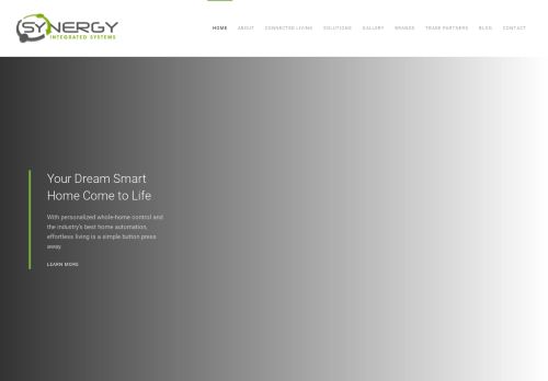 Synergy Integrated Systems capture - 2024-02-09 15:40:24