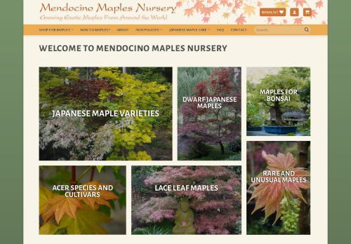 Mendocino Maples Nursery capture - 2024-02-09 17:54:41