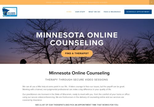 Mn Online Counseling capture - 2024-02-10 06:51:12