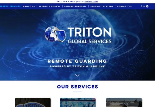 Triton Global Services capture - 2024-02-10 21:56:57