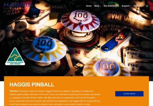 Haggis Pinball capture - 2024-02-10 23:27:28